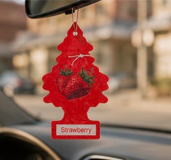 Désodorisant Voiture Little Trees® – Plusieurs Parfums Disponibles✨