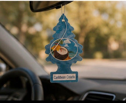Désodorisant Voiture Little Trees® – Plusieurs Parfums Disponibles✨